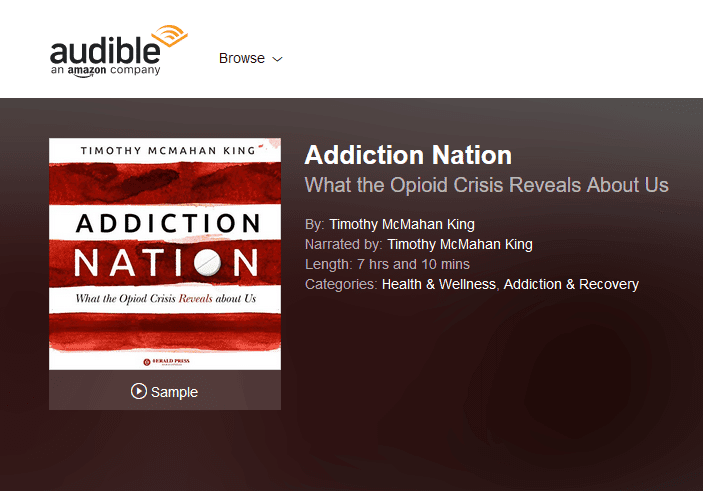 Case Study 4 | Audible Link